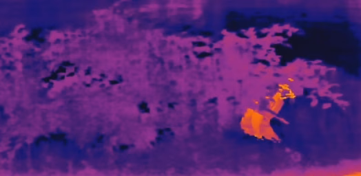 Infrared Thermal Imaging Security Monitoring